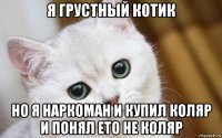 я грустный котик но я наркоман и купил коляр и понял ето не коляр