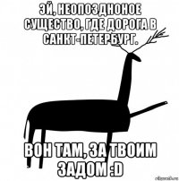 эй, неопоздноное существо, где дорога в санкт-петербург. вон там, за твоим задом :d