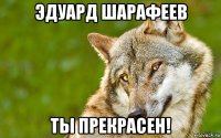 эдуард шарафеев ты прекрасен!