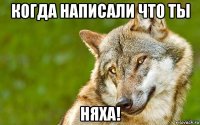 когда написали что ты няха!