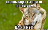 слышь пацан ты не че не перепутал?! да я я нет!