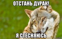 отстань дурак! я стесняюсь