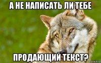 а не написать ли тебе продающий текст?