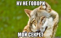 ну не говори мой секрет