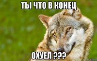 ты что в конец охуел ???