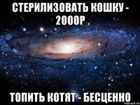 стерилизовать кошку - 2000р топить котят - бесценно