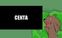 секта