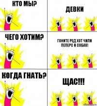 кто мы? Девки чего хотим? Гоните Ред хот чили пеперс и собак! Когда гнать? ЩАС!!!