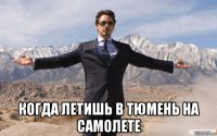  когда летишь в тюмень на самолете