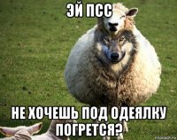 эй псс не хочешь под одеялку погрется?