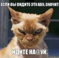 Если вы видите эту аву, значит Идите на@уй.