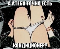 а у тебя точно есть кондиционер?