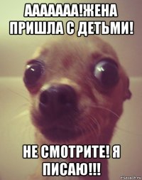 ааааааа!жена пришла с детьми! не смотрите! я писаю!!!