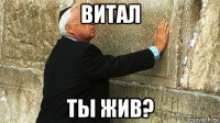 витал ты жив?