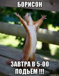 борисон завтра в 5-00 подьём !!!