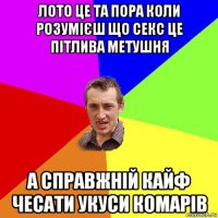 лото це та пора коли розумієш що секс це пітлива метушня а справжній кайф чесати укуси комарів