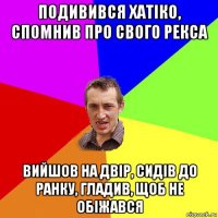 подивився хатіко, спомнив про свого рекса вийшов на двір, сидів до ранку, гладив, щоб не обіжався