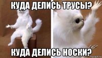 куда делись трусы? куда делись носки?