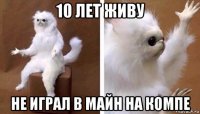 10 лет живу не играл в майн на компе