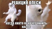 реакция олеси когда никто не хочет чинить насос