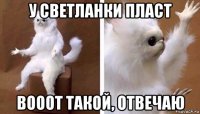 у светланки пласт вооот такой, отвечаю