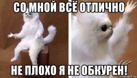 со мной всё отлично не плохо я не обкурен!