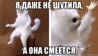 я даже не шутила, а она смеётся