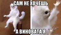 сам не хочешь а виновата я