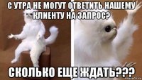 с утра не могут ответить нашему клиенту на запрос? сколько еще ждать???