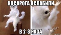 носорога ослабили в 2-3 раза