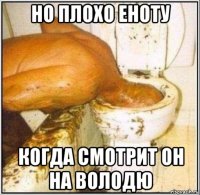 но плохо еноту когда смотрит он на володю