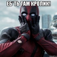 еб*ть там кролик! 