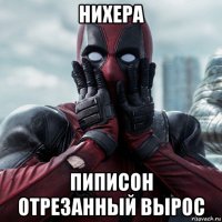 нихера пиписон отрезанный вырос