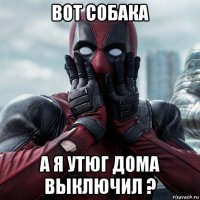 вот собака а я утюг дома выключил ?