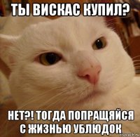 ты вискас купил? нет?! тогда попращяйся с жизнью ублюдок