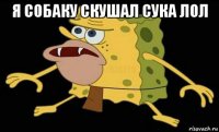 я собаку скушал сука лол 