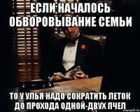 если началось обворовывание семьи то у улья надо сократить леток до прохода одной-двух пчел