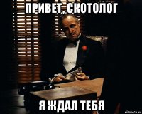 привет, скотолог я ждал тебя