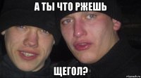 а ты что ржешь щегол?