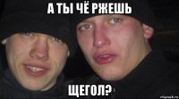 а ты чё ржешь щегол?