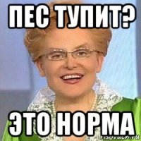 пес тупит? это норма