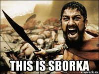  this is sborka