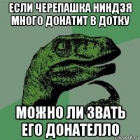 если черепашка ниндзя много донатит в дотку можно ли звать его донателло