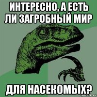 интересно, а есть ли загробный мир для насекомых?