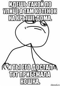 идешь такой по улице,а там котенок на крыше дома. и ты его достал тут прибежала кошка.