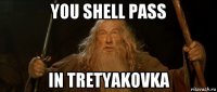 you shell pass in tretyakovka