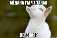 айдана ты чё такая дерзкая?