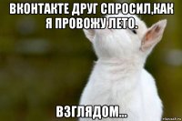 вконтакте друг спросил,как я провожу лето. взглядом...