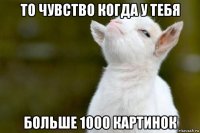 то чувство когда у тебя больше 1000 картинок