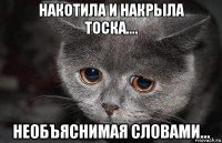 накотила и накрыла тоска.... необъяснимая словами...